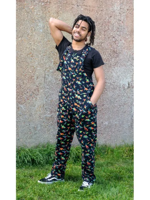 Unisex Rainbow Dinosaur Dungarees